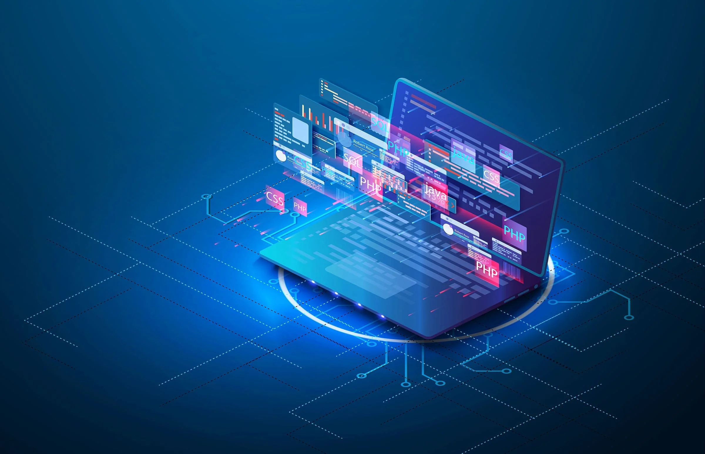 Exploring Opportunities in Custom Application Development